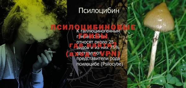 мдма Лиски