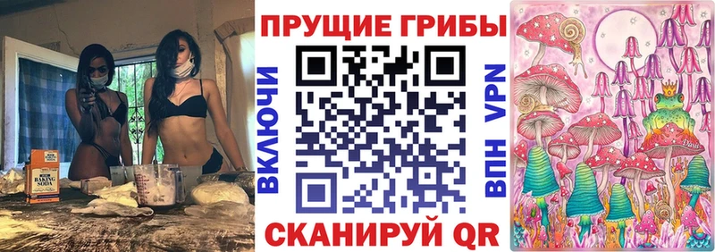 Псилоцибиновые грибы Psilocybine cubensis  где найти наркотики  Сясьстрой 